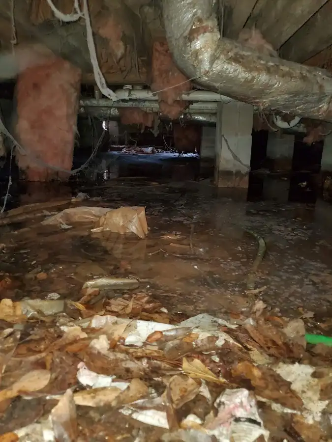 Crawl space flood assessment for Leak Detection & Repair in Brookings